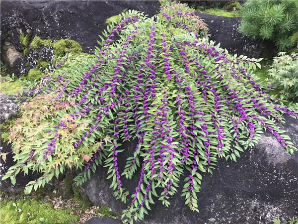 �Ř���ľ�b���˜ʣ�ԇ�У�