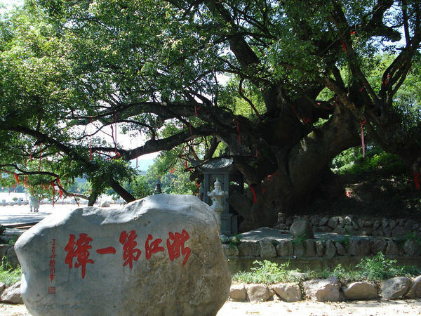 �Ř���ľ�ճ��B(y��ng)�o�c����