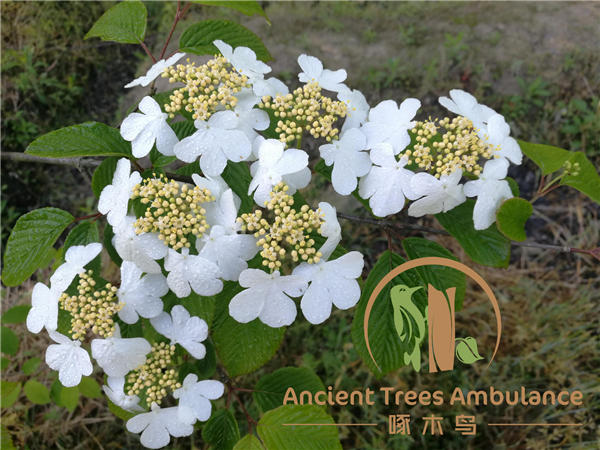 �����v�o