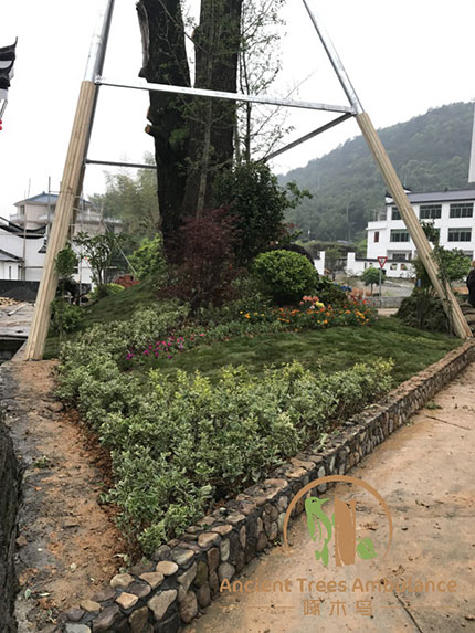 �Ř���ľ���حh�����켰����